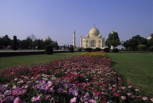 印度,泰姬陵,花