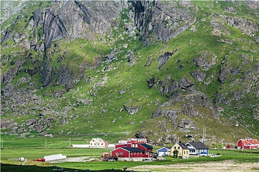 传统,挪威,彩色,房子,罗浮敦群岛