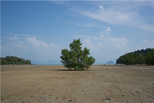 苏梅岛,瑶族