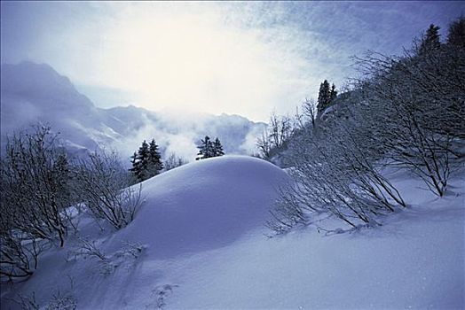 风景,少女峰,瑞士