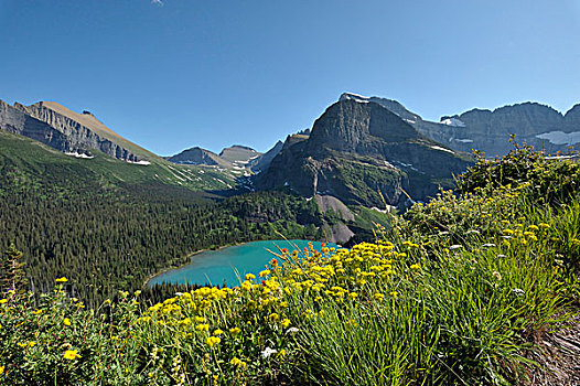 山,湖,许多,冰河,区域,冰川国家公园,蒙大拿,美国