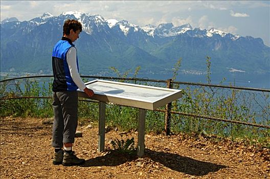 远足者,读,信息,标识,俯视,日内瓦湖,背景,皱叶甘兰,瑞士