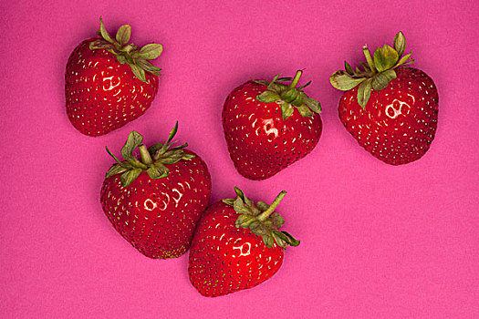 五个,草莓,粉色背景