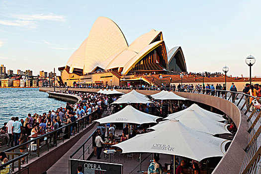 人,会面,码头,悉尼港,下面,悉尼歌剧院