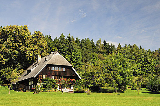 传统,房子,黑森林,巴登符腾堡,德国