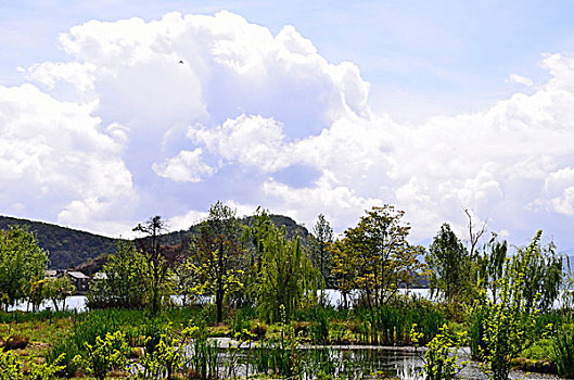 泸沽湖
