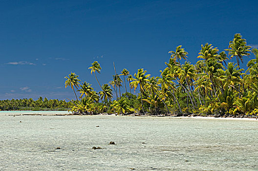 土阿莫土群岛,法属玻利尼西亚