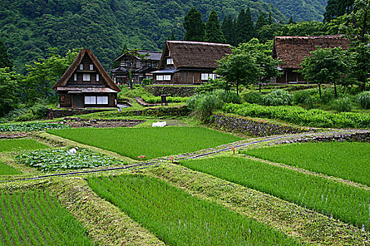 富山