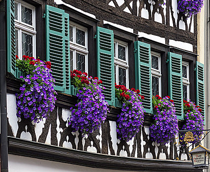 插花,窗户,历史,半木结构房屋,班贝格,上弗兰科尼亚,巴伐利亚,德国,欧洲