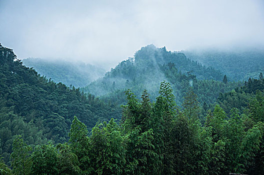 雨雾山景