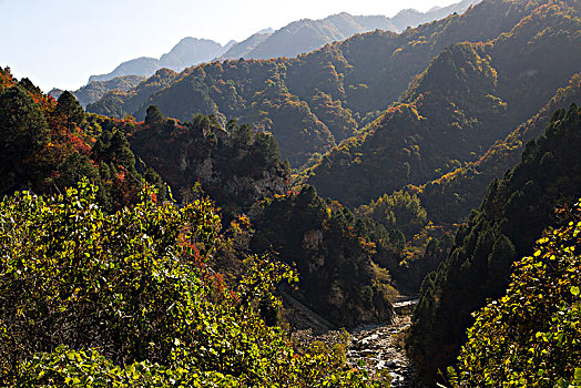 秦岭山