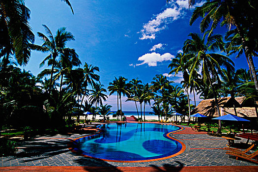 游泳池,围绕,棕榈树,缅甸,海滩,胜地