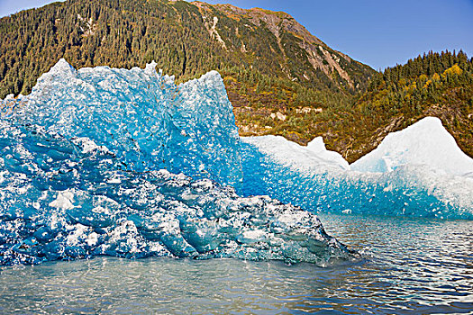 冰山,破损,棉田豪冰河,漂浮,湖,翻转,上方,展示,蓝色,擦亮,冰,水下,朱诺,阿拉斯加,美国