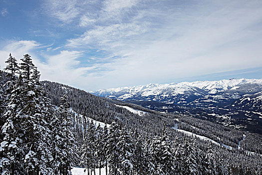 惠斯勒山,冬天,不列颠哥伦比亚省,加拿大