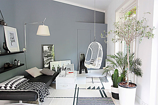 沙发,悬挂,椅子,壁灯,植物,现代生活,房间,灰色