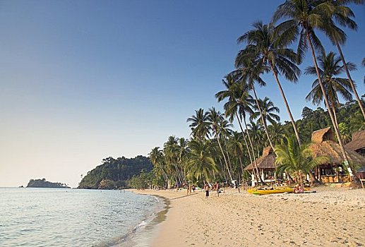 帽子,寂静沙滩,苏梅岛,南,东方,泰国