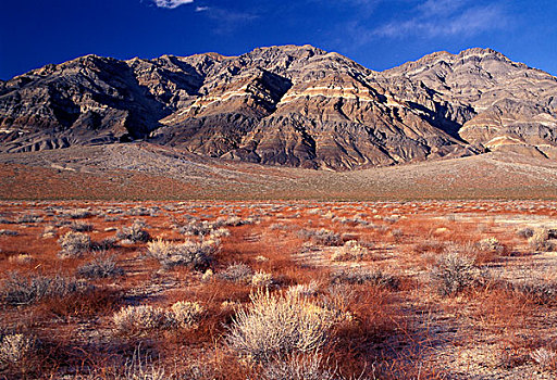 北美,美国,死亡谷国家公园,风景