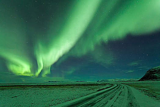 夜空,绿色,北极光,上方,冬季风景