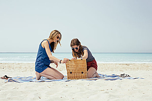 两个,美女,朋友,野餐篮,海滩