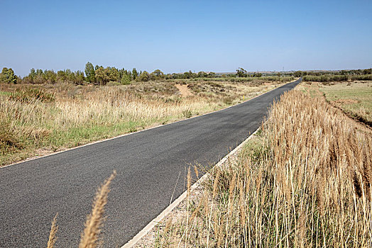 盘山公路