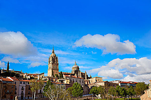 萨拉曼卡,天际线,大教堂,西班牙