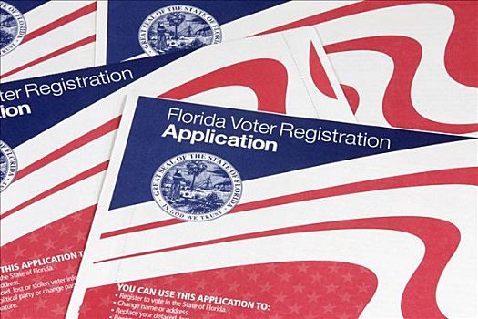 选民,注册,卡,选举,佛罗里达,美国