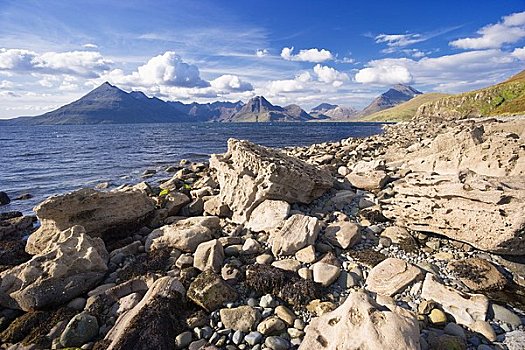 岩石,岸边,湖,苏格兰