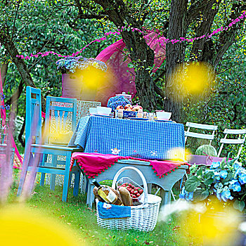 桌子,野餐,花园