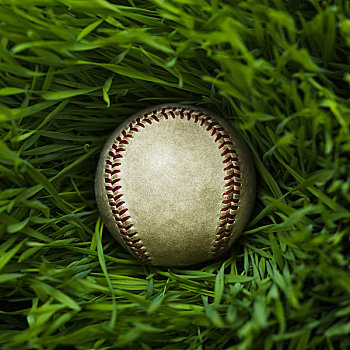 棒球,草