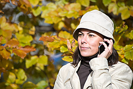 女人,手机,秋色,树,洛迦诺,瑞士,提契诺河