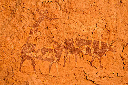 新石器时代,岩石艺术,岩画,两个,母牛,公牛,时期,国家公园,世界遗产,阿尔及利亚,非洲
