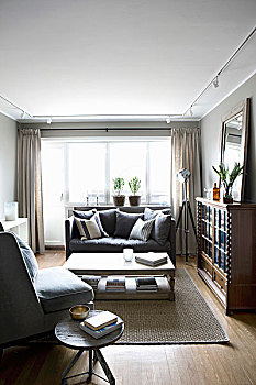 扶手椅,沙发,苍白,茶几,传统,陈列柜,复古风格,落地灯,一个