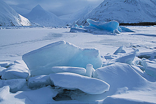 冰山,冰冻,湖,阿拉斯加,美国
