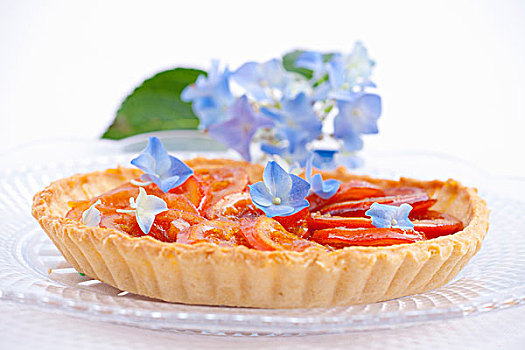 橘子蛋糕,蓝色,八仙花属,花
