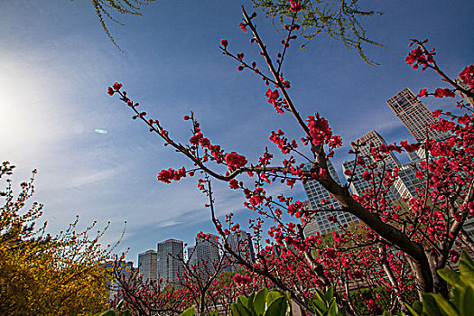 北京城市风光