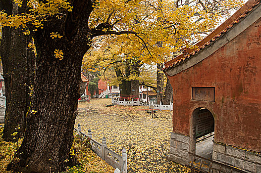 文殊寺