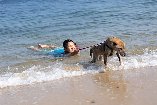 游泳,柴犬,儿童,海洋