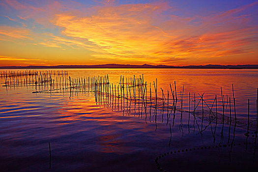 湖,日落,瓦伦西亚,西班牙