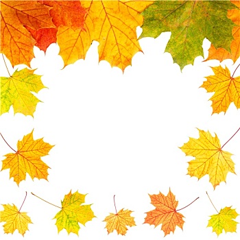 秋天,边界,卡,彩色,叶子