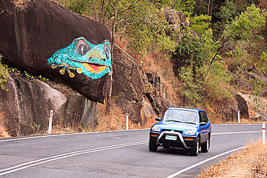 巨大,绿树蛙,涂绘,漂石,侧面,公路,途中,向上,阿瑟顿台地,昆士兰,澳大利亚
