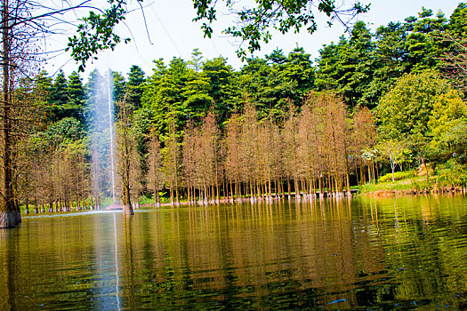 岭南水景,人工湖喷泉,春天帽峰山公园,踏青,春游