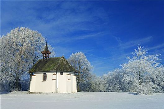 小教堂,树,白霜,德国