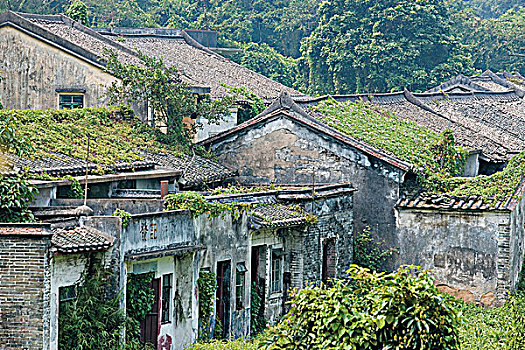 英国,新界,香港