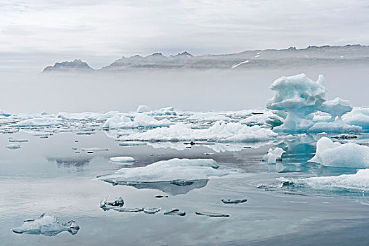 冰,雾,约翰,峡湾,格陵兰东部,格陵兰