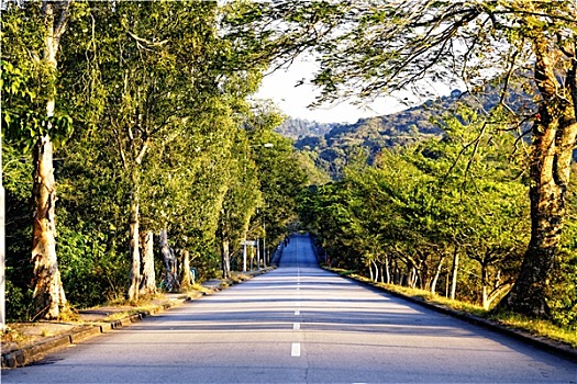 道路,山