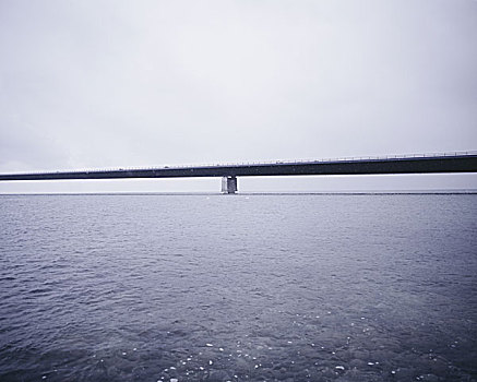 桥,丹麦,白色,天鹅,脚,冬天