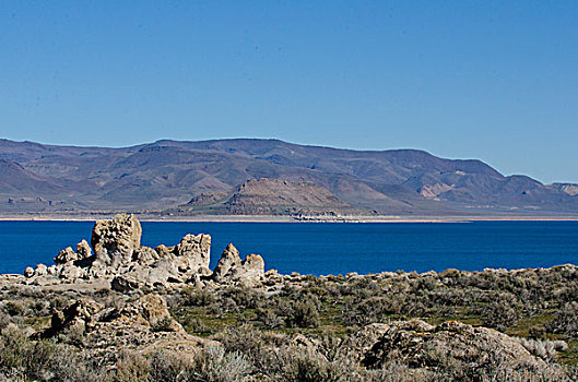 美国,内华达,金字塔,湖,部落,预留,展示,岛屿,背景,石灰华,前景