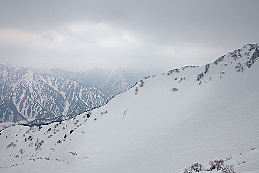 日本