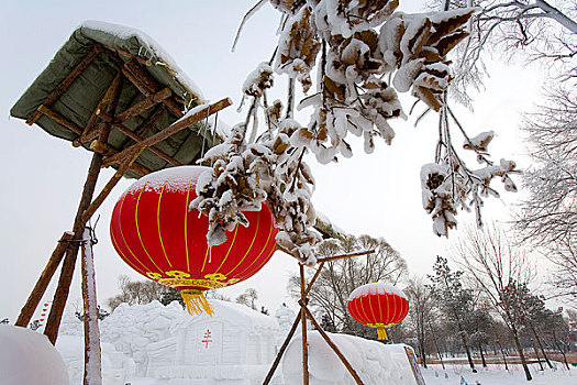 冬天雪景中的农家院景观