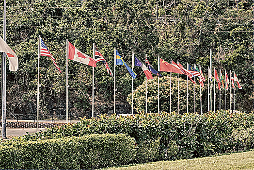 澳大利亚,许多,世界,旗帜,公园,熊,树